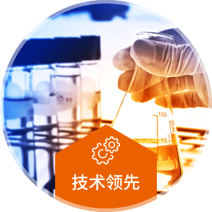 技术领先